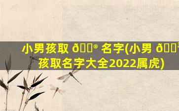 小男孩取 💮 名字(小男 🌳 孩取名字大全2022属虎)